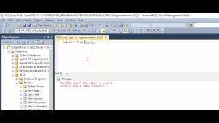 SQL Server  Fix Error  Msg 208 Invalid object name [upl. by Yelbmik427]