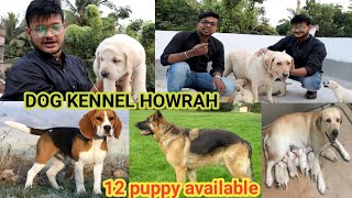 GOOD QUALITY DOG KENNEL KOLKATA CHEAP PRICE LABRADOR GSD BEAGLE [upl. by Alym]