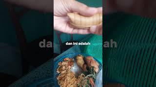 Unboxing Nasi Berkat nasiberkat unboxingvideo foodreview [upl. by Cissiee]