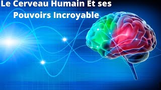 Le Cerveau Humain Et ses Pouvoirs Incroyable  documentaire ARTE 2021 [upl. by Ayikin]