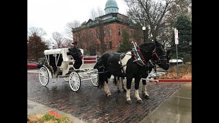 Behind the Scenes of a Holiday Carriage Ride [upl. by Annirac]