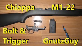 Problem Chiappa M122 Bolt and FCG disassembly Fixedrepaired [upl. by Letha]