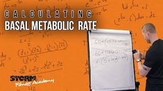 Calculating Basal Metabolic Rate BMR [upl. by Anippesuig481]