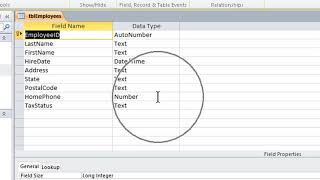 Setting Up Data Types in Microsoft Access [upl. by Feinstein]