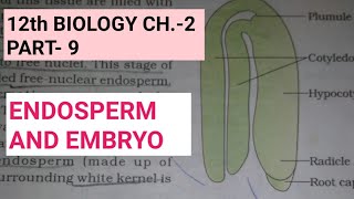 Class 12 biology chapter2Part9post fertilisationstructures and eventsStudy with farru [upl. by Charleen]