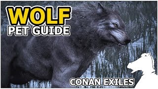 WOLF  Pets Guide  CONAN EXILES [upl. by Tony]