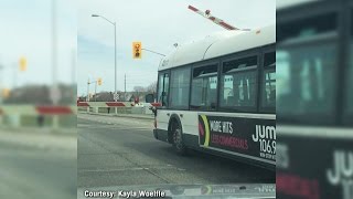 I was freaking out Rail crossing arm on top of Ottawa bus [upl. by Steen]