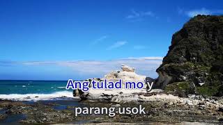 Asin Medley  Asin Karaoke Cover background White Rock Formation Ilocos [upl. by Yurik]