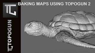 Carey Turtle Baking Maps using TopoGun 2  Part 07 [upl. by O'Neill]