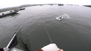 Salmon Fishing in Gold Beach Oregon [upl. by Gagnon661]