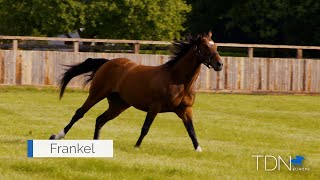 First Derby Winner for Frankel [upl. by Nnire]