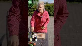 Der beste Salat Dressing für bittere Salate gartengemüsekiosk [upl. by Senior237]