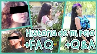 HISTORIA DE MI PELO FAQ QampA StoryTime [upl. by Turpin672]