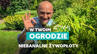 Niebanalne rośliny na żywopłot W Twoim ogrodzie [upl. by Wira]