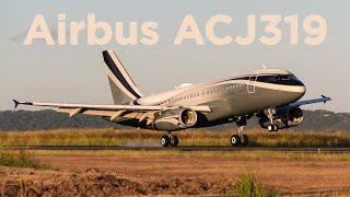 Airbus A319CJ sn4151 [upl. by Narayan]