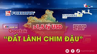 “Đất lành chim đậu” [upl. by Annabal]