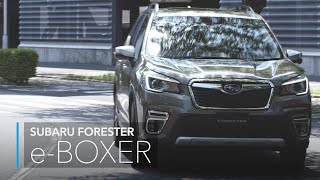 FORESTER：eBOXER [upl. by Rigdon398]