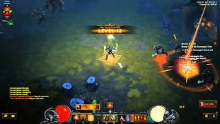 Diablo III Rank 25 Gem of Ease [upl. by Strickland]