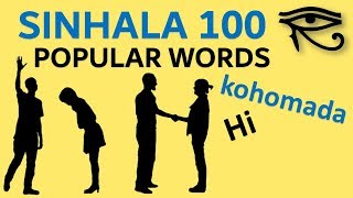 Sinhala 100 important sentences  Popular Phrases  Quick Lesson [upl. by Bergman]