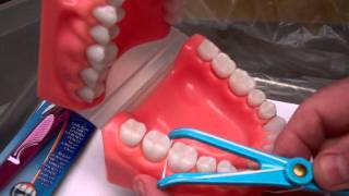 Flossing Technique  Oral Hygiene Instructions by Dr Berdy periodontist Jacksonville FL [upl. by Arinaid]