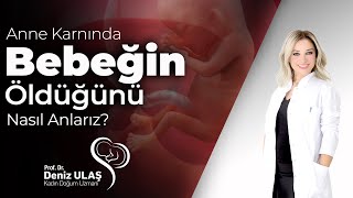 Anne Karnında Bebeğin Öldüğünü Nasıl Anlarız [upl. by Aggie942]