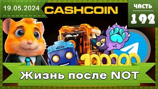 Жизнь после Notcoin Новые проекты набирающие популярность Cashcoin TapSwap Catap Wcoin HMST [upl. by Liahcim13]