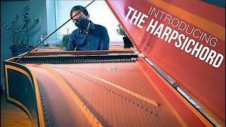 Introducing The Harpsichord [upl. by Swainson]