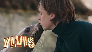 Ylvis  Language of Love Official music video HD [upl. by Crotty]