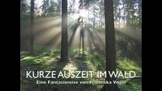 Fantasiereise  Entspannungsgeschichte  Traumreise  Kurze Auszeit im Wald  Phantasiereise [upl. by Terraj]