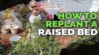 How to Replant and Prepare Raised Beds For Spring [upl. by Boarer898]