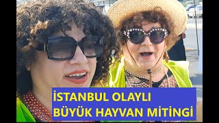 HAYVAN MİTİNGİNE ÜNLÜ YAĞMURU [upl. by Sayer]