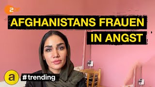 Auf der Todesliste der Taliban Wie afghanische Frauen sich auflehnen  trending [upl. by Macleod]