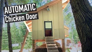 BEST DIY Automatic Chicken Coop Door [upl. by Moyer]