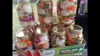 BEST PICKLED EGGS EVER and how to make them [upl. by Vasta]