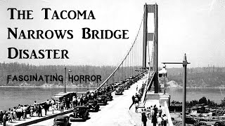 The Tacoma Narrows Bridge Disaster  A Short Documentary  Fascinating Horror [upl. by Akitnahs]