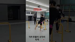 taekwondo 태권도 겨루기 브라질리언킥 겨루기앞발동작앞발커트 [upl. by Linder]