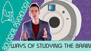 Ways of Studying the Brain  Biological Psychology AQA ALevel [upl. by Cowden]