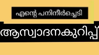 CLASS 4 MALAYALAM WORKSHEET എന്റെ പനിനീർച്ചെടി ആസ്വാദനക്കുറിപ്പ് [upl. by Kra101]