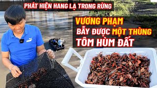 Vương Phạm Vào Rừng Bẫy Tôm Hùm Đất [upl. by Nyvrem]