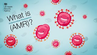 Antimicrobial resistance AMR  What does it mean and why it matters [upl. by Ternan490]