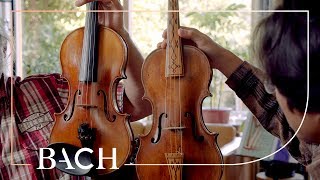 The Baroque violin and bow  Netherlands Bach Society [upl. by Malan]