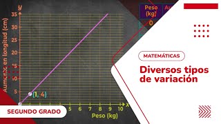 32 Diversos tipos de variación [upl. by Stoneham]