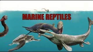 Marine Reptiles  liopleurodon titanoboa and plesiosaurs oh my geology fossil [upl. by Azarria]