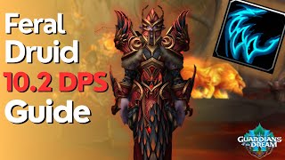 Feral Druid 102 Beginner Guide for Raid amp M [upl. by Enilada336]