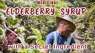 Medicinal Elderberry Syrup with a Secret Ingredient medicine elderberry youtube [upl. by Airotal645]