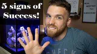 5 Signs of Success with a Saltwater Reef Tank Aquarium [upl. by Hamirak]