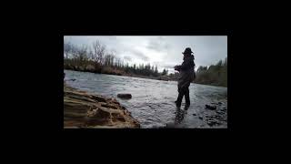 Steelhead FishingWashington State [upl. by Messing]