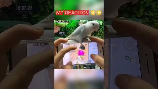 Game khelne Wala TOTA 🦜😱 gaming bgmi pubg reaction [upl. by Nairda]