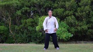 Basic Tai chi Posture  demo [upl. by Mukerji238]