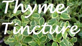 HOW TO Make Cough Medicine THYME TINCTURE [upl. by Diet]